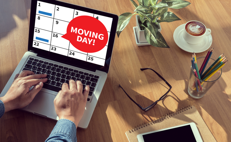 Professional movers packing and loading household furniture in Putney